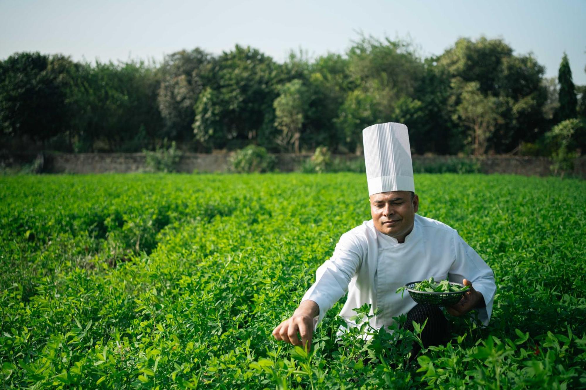 Abhyaran Resort & Spa Ranthambore Sawai Madhopur Dış mekan fotoğraf