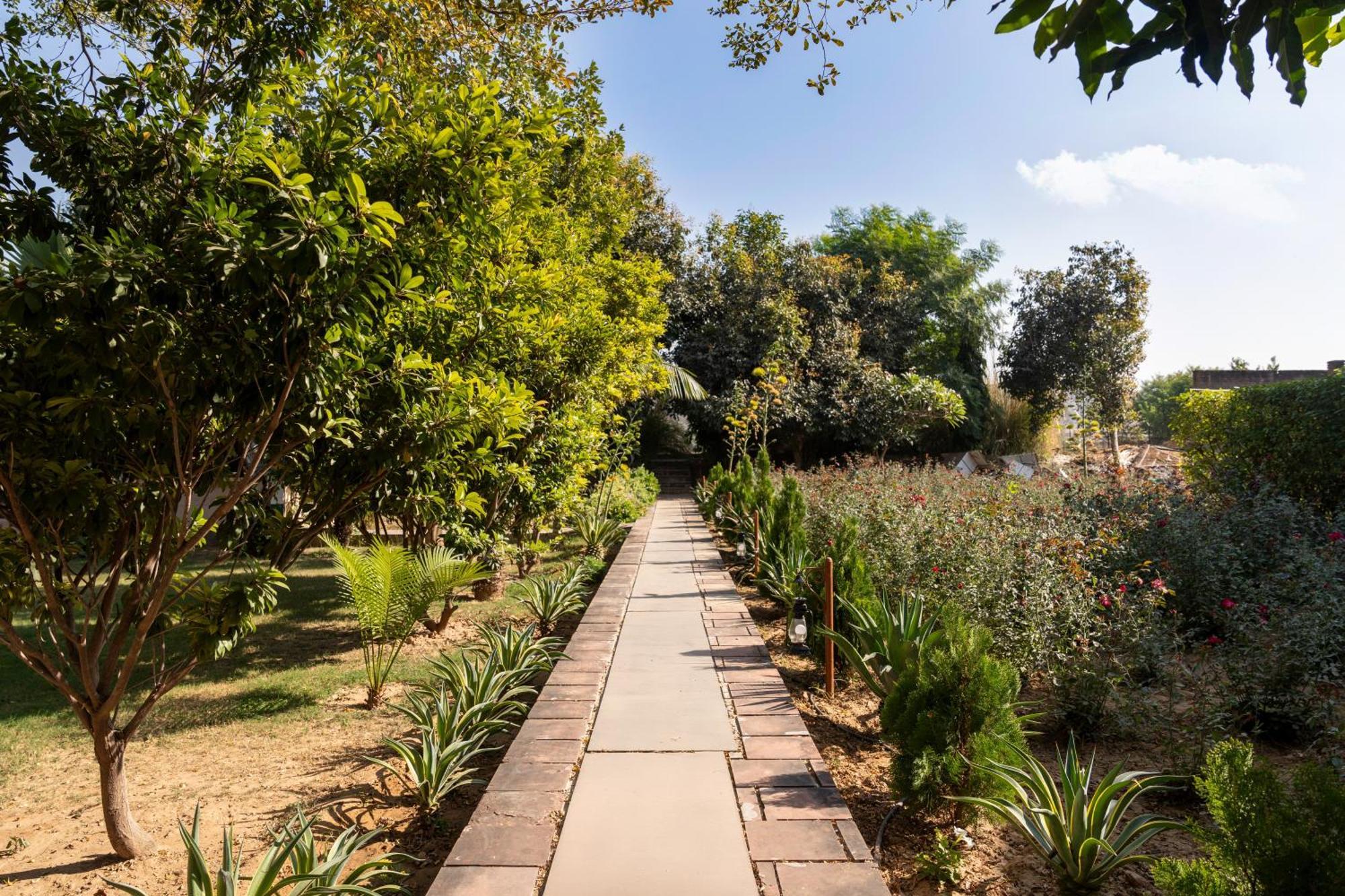 Abhyaran Resort & Spa Ranthambore Sawai Madhopur Dış mekan fotoğraf